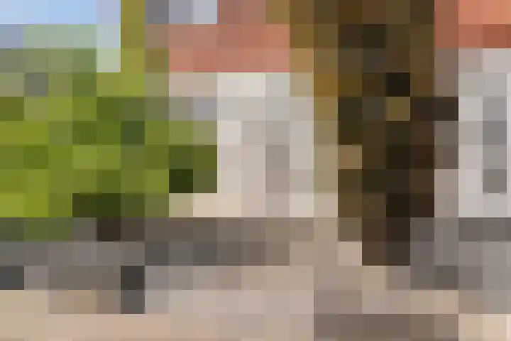 Dutry van Haeftenstraat 15 Haaften thumbnail 4