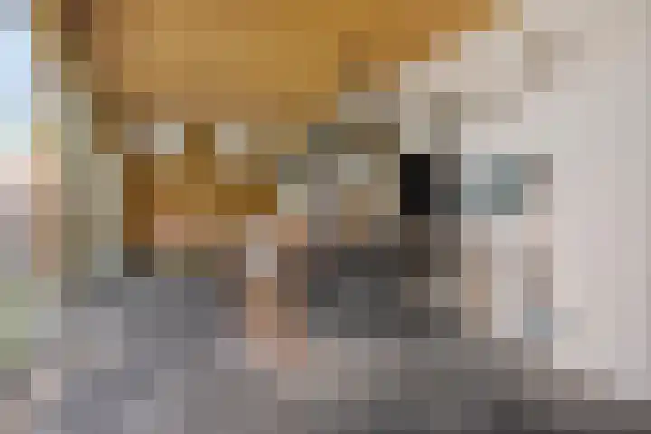 Dutry van Haeftenstraat 15 Haaften thumbnail 42