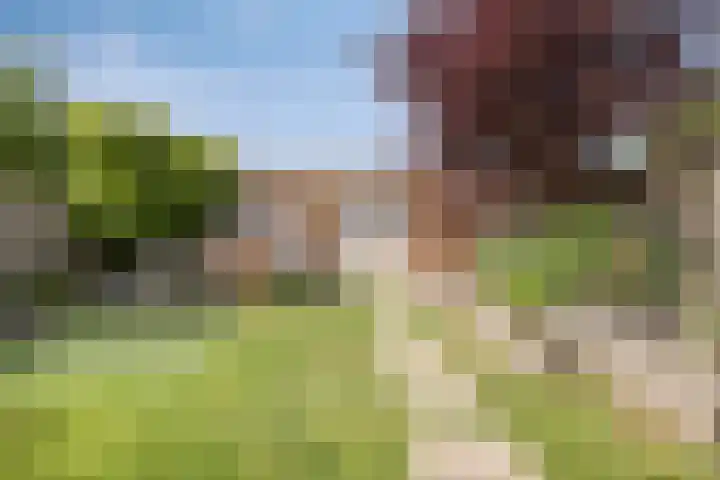 Dutry van Haeftenstraat 15 Haaften thumbnail 45
