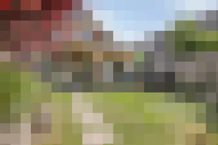 Dutry van Haeftenstraat 15 Haaften thumbnail 46