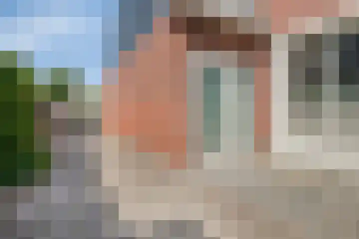 Dutry van Haeftenstraat 15 Haaften thumbnail 5