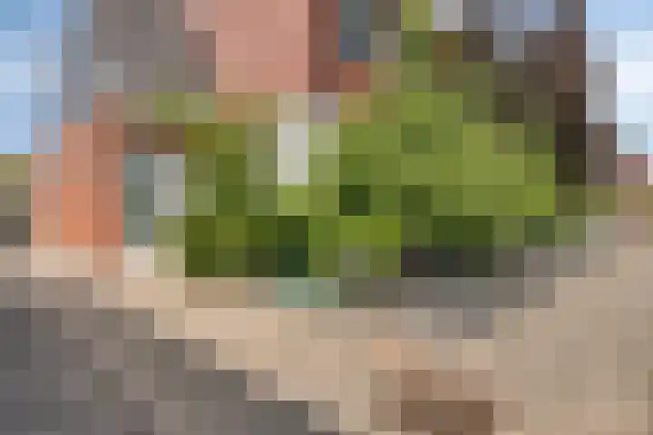 Dutry van Haeftenstraat 15 Haaften thumbnail 6