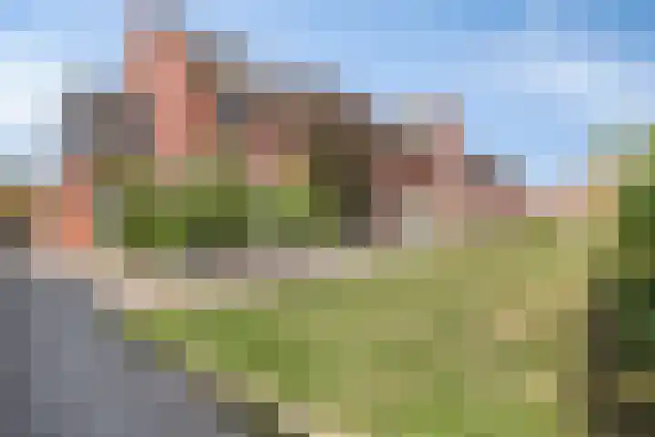 Dutry van Haeftenstraat 15 Haaften thumbnail 7