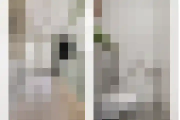 Dutry van Haeftenstraat 15 Haaften thumbnail 8