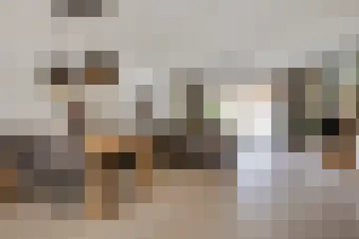 Dutry van Haeftenstraat 15 Haaften thumbnail 9
