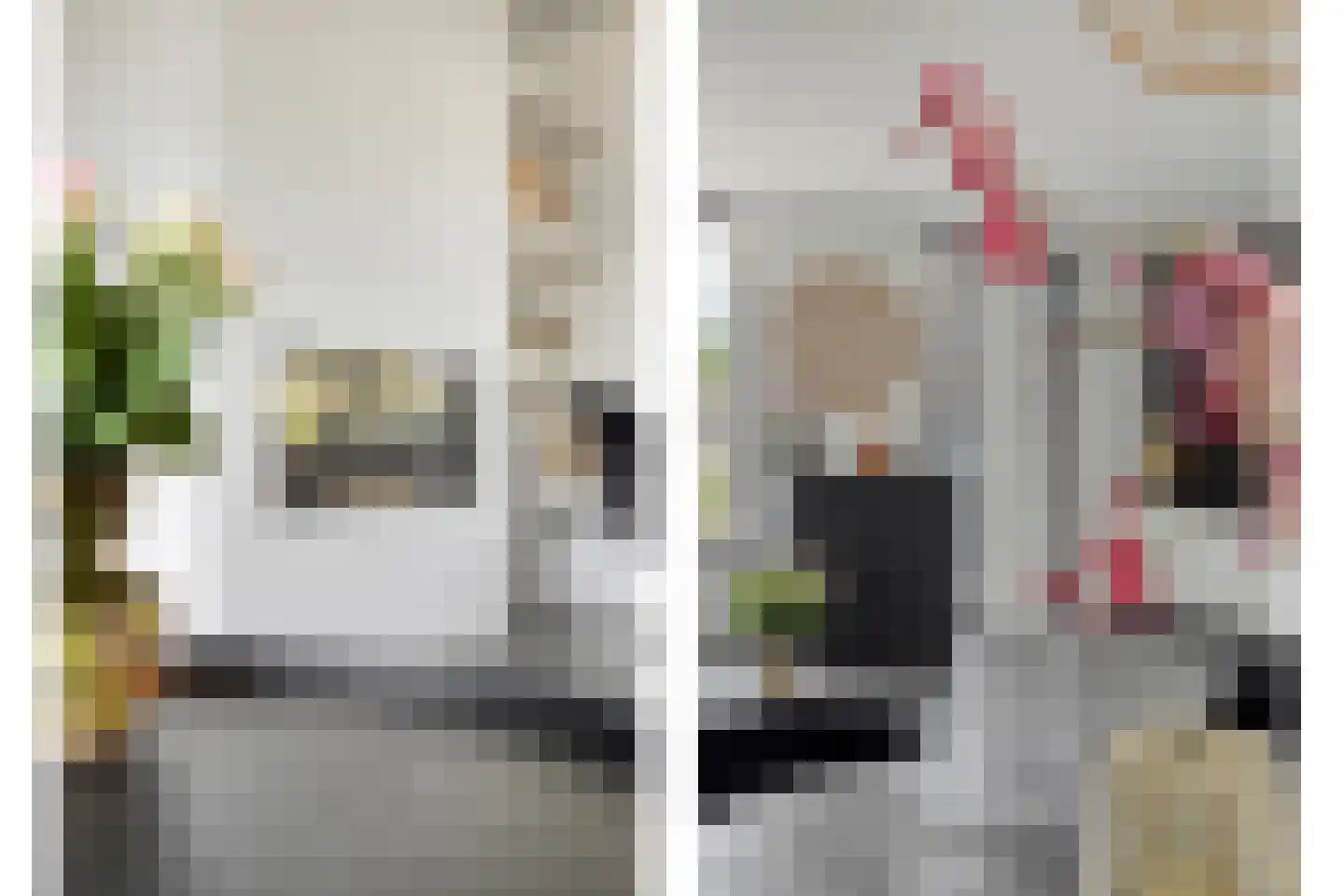 Dutry van Haeftenstraat 36 Haaften thumbnail 10