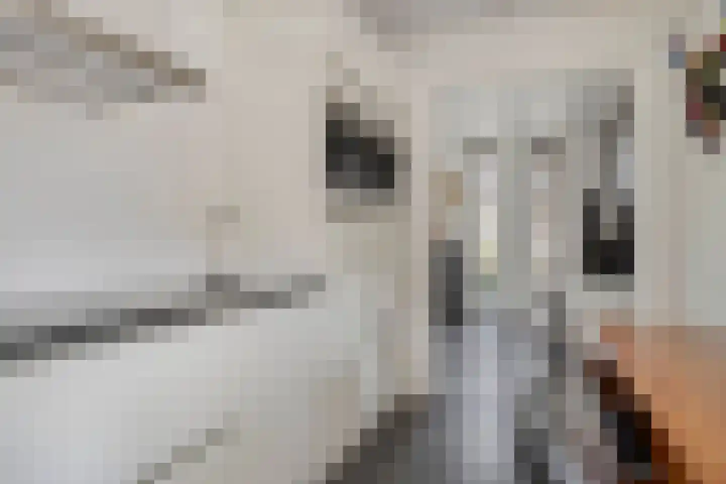 Dutry van Haeftenstraat 36 Haaften thumbnail 14