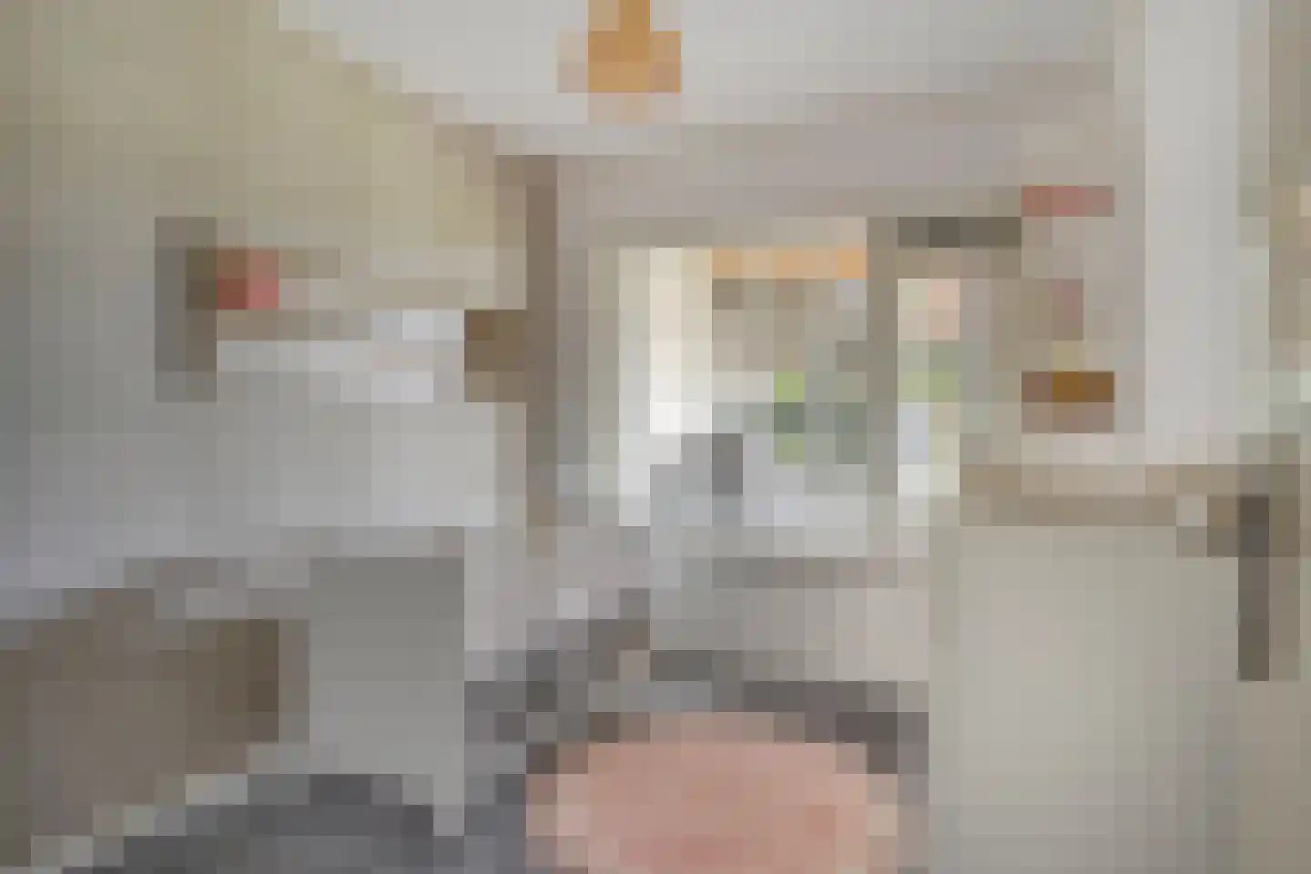 Dutry van Haeftenstraat 36 Haaften thumbnail 19