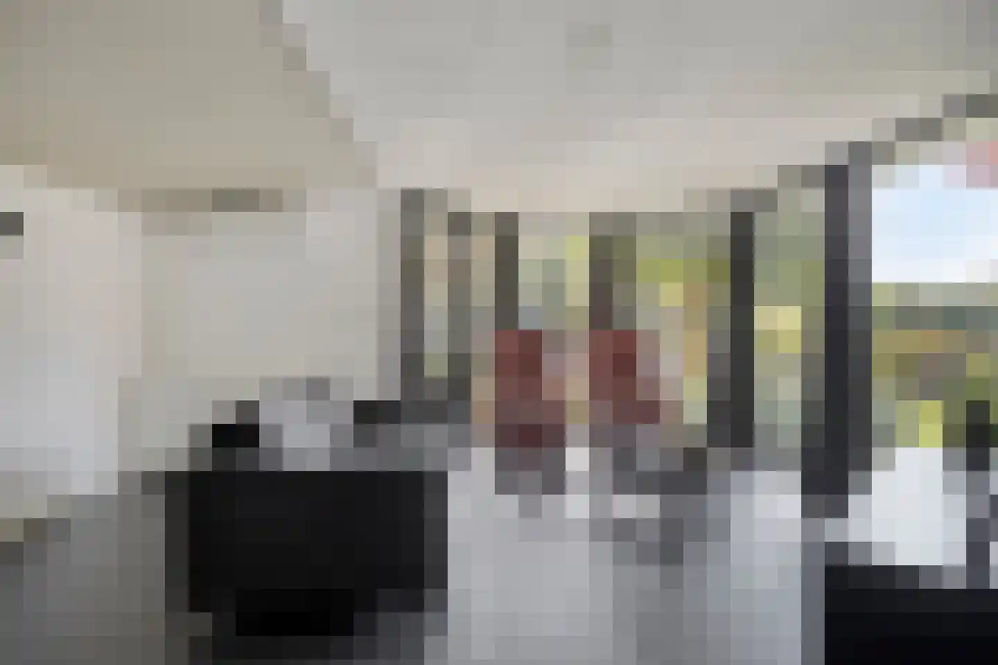 Dutry van Haeftenstraat 36 Haaften thumbnail 20
