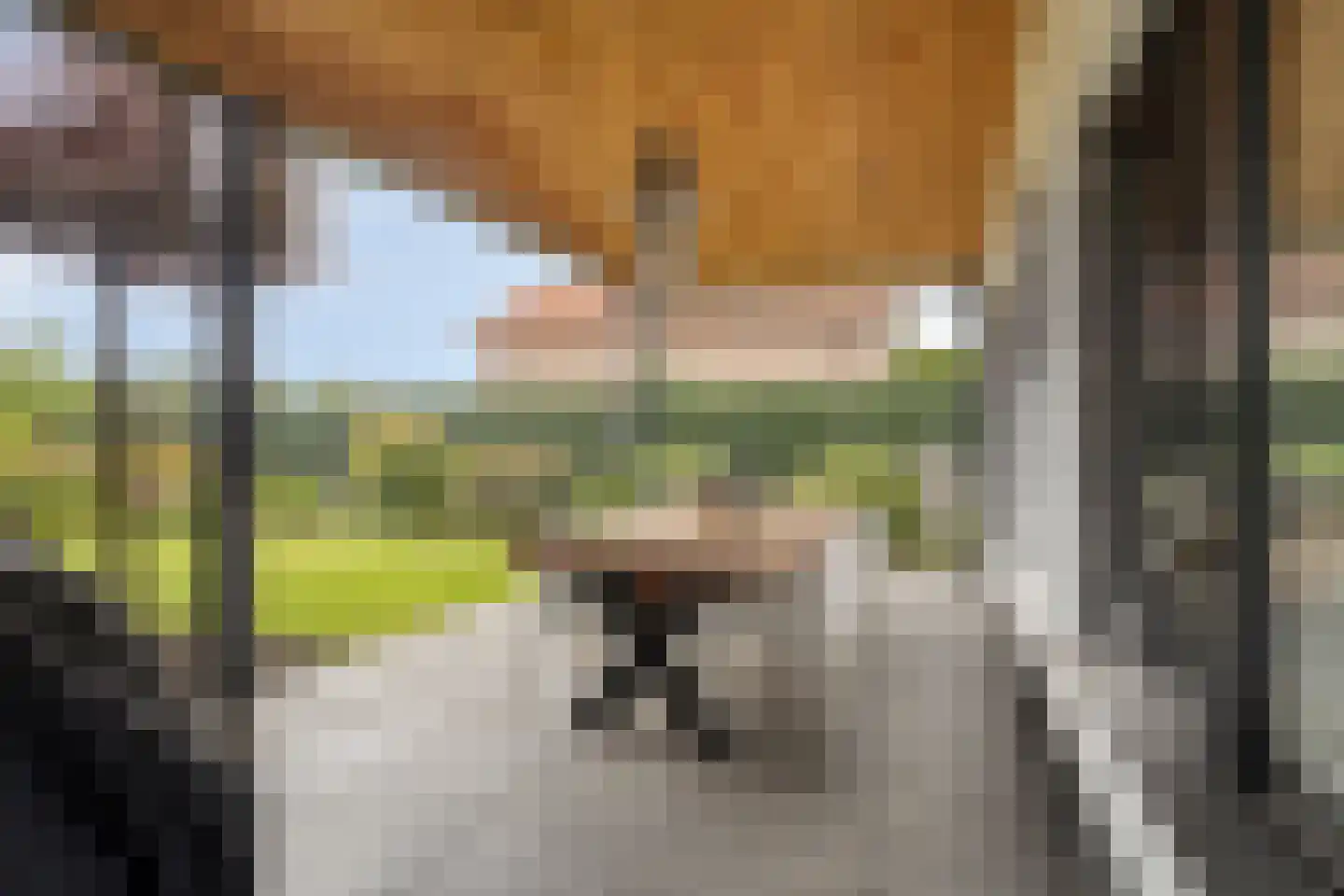 Dutry van Haeftenstraat 36 Haaften thumbnail 24