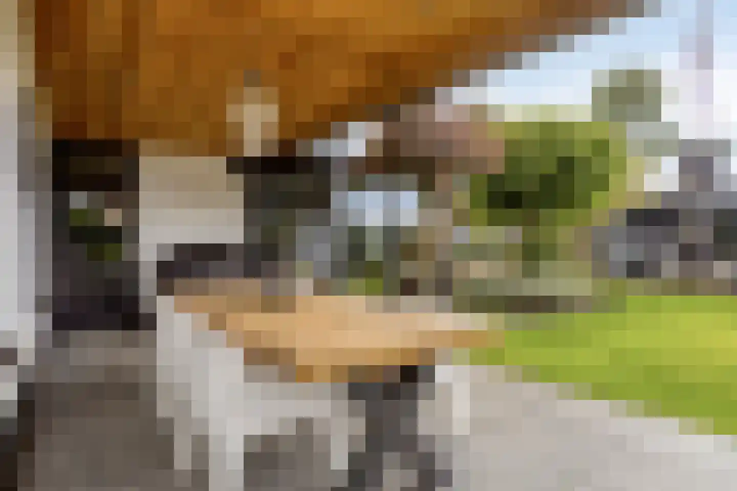 Dutry van Haeftenstraat 36 Haaften thumbnail 25