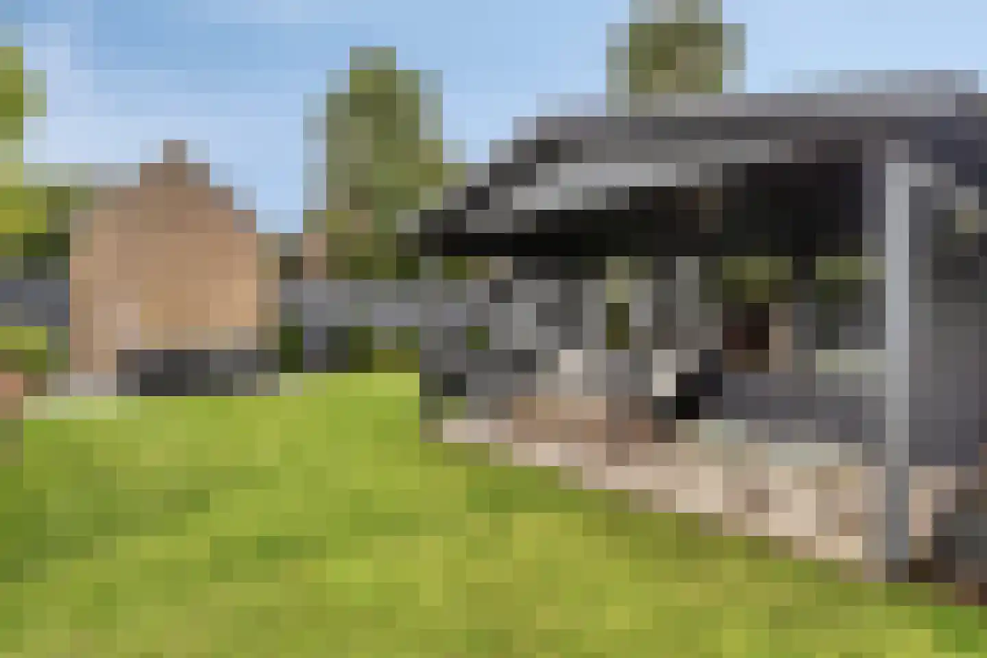 Dutry van Haeftenstraat 36 Haaften thumbnail 27