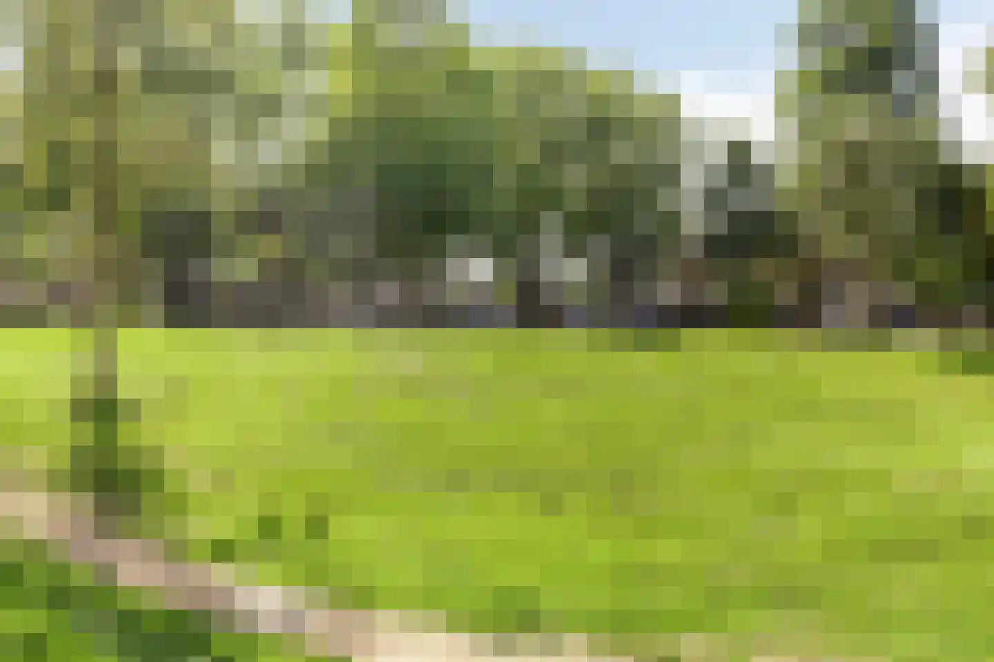 Dutry van Haeftenstraat 36 Haaften thumbnail 32