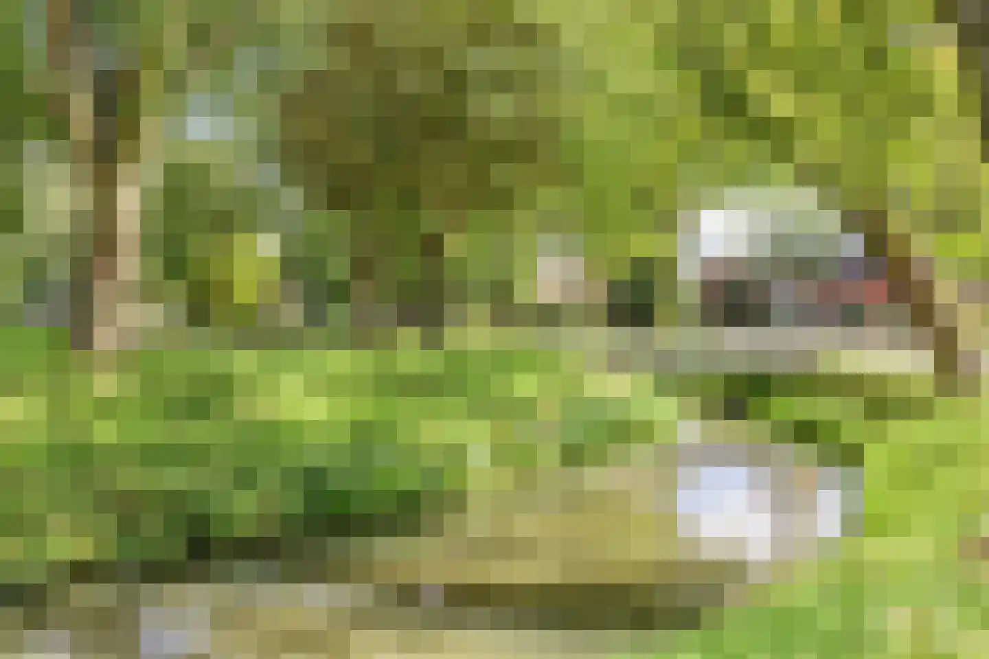 Dutry van Haeftenstraat 36 Haaften thumbnail 34