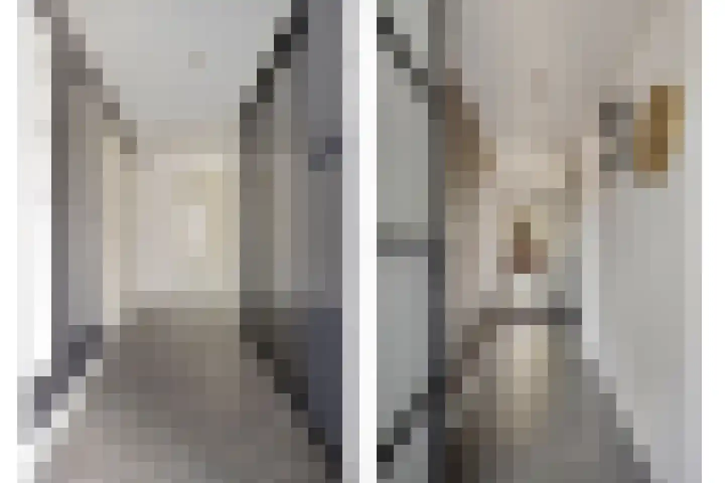 Dutry van Haeftenstraat 36 Haaften thumbnail 5