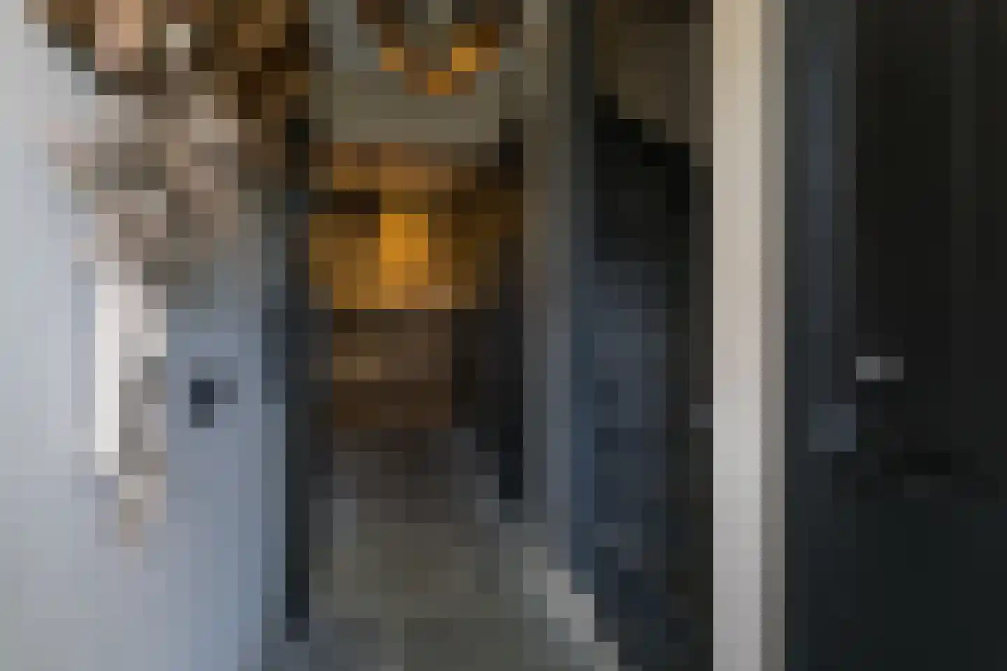 Dutry van Haeftenstraat 7 Haaften thumbnail 11