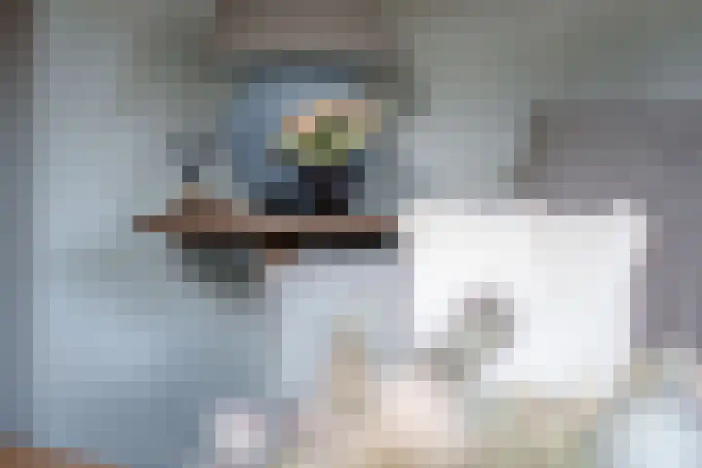 Dutry van Haeftenstraat 7 Haaften thumbnail 16