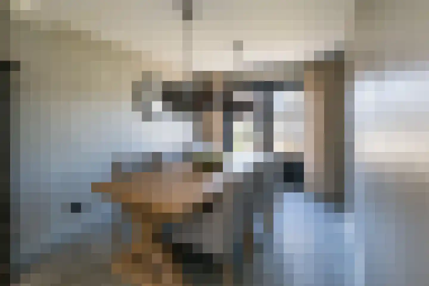 Dutry van Haeftenstraat 7 Haaften thumbnail 22