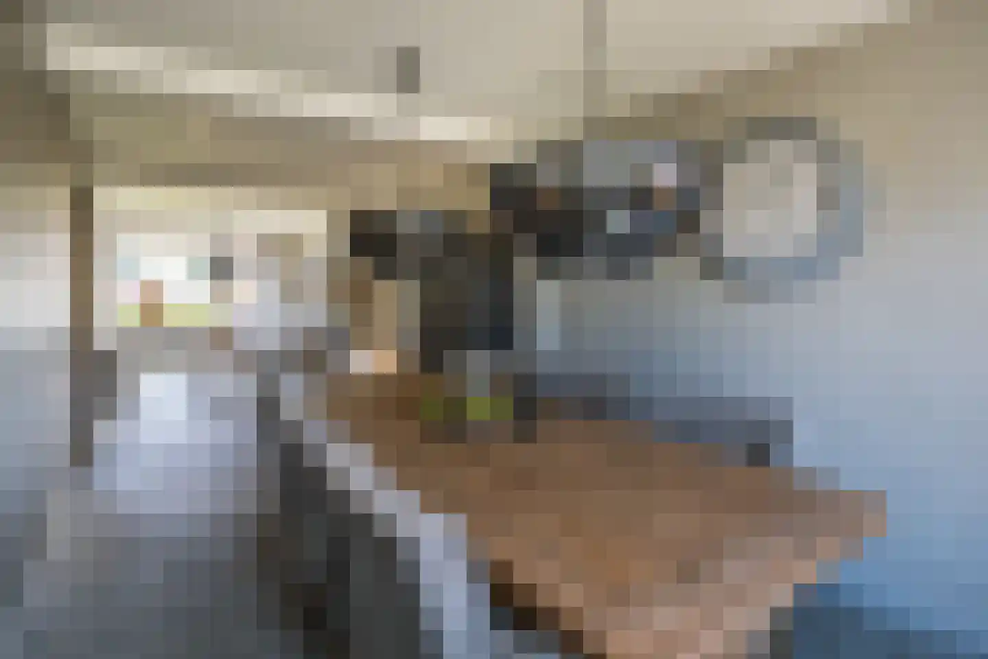 Dutry van Haeftenstraat 7 Haaften thumbnail 23