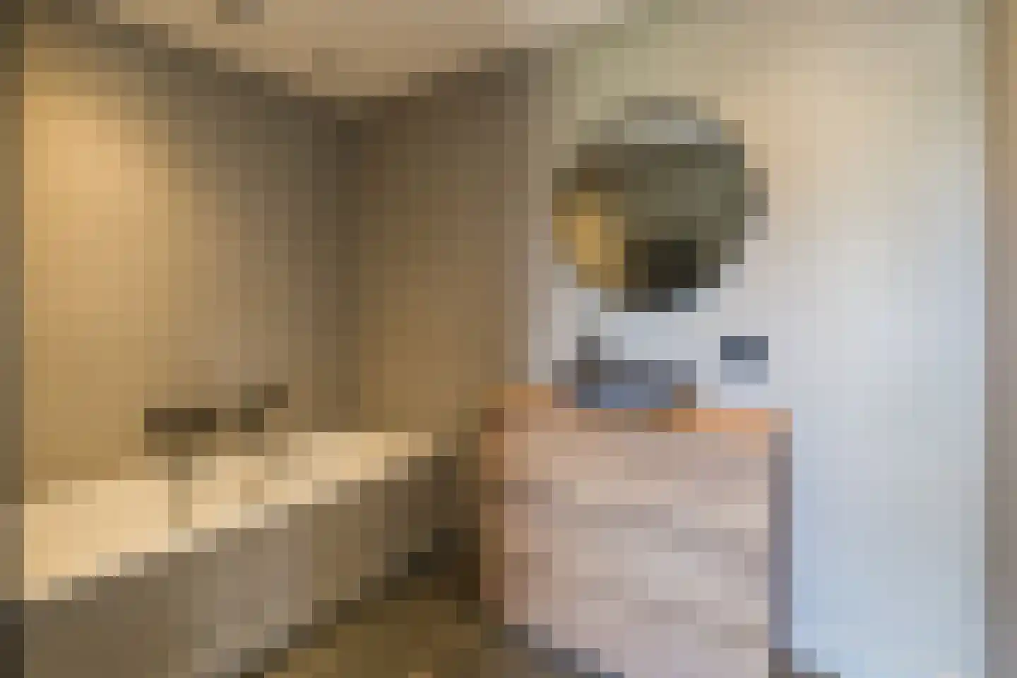 Dutry van Haeftenstraat 7 Haaften thumbnail 26