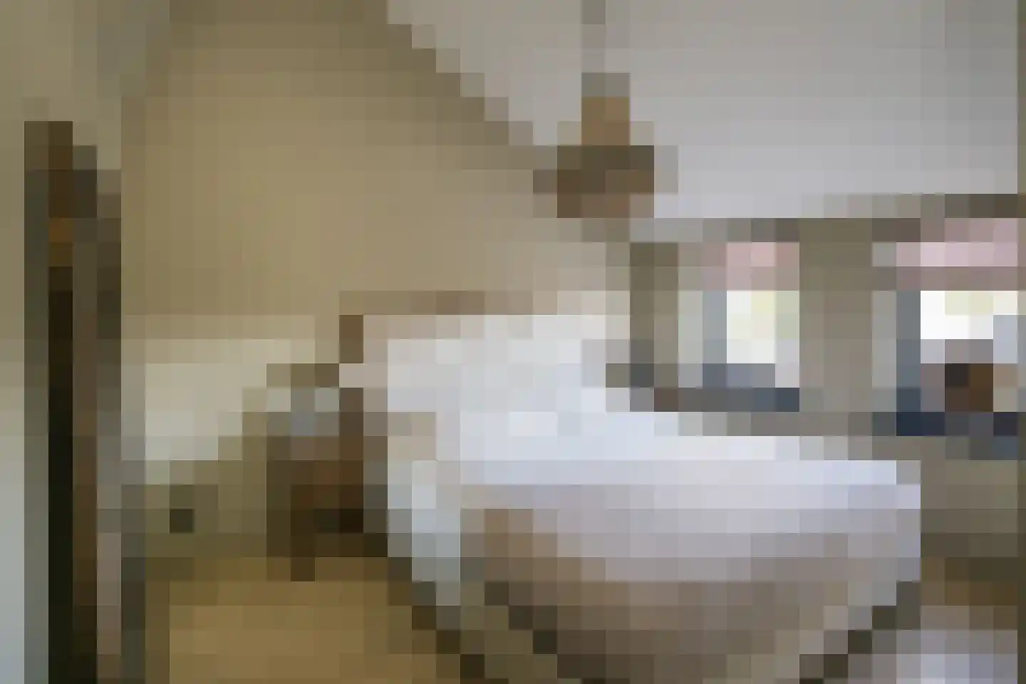 Dutry van Haeftenstraat 7 Haaften thumbnail 31