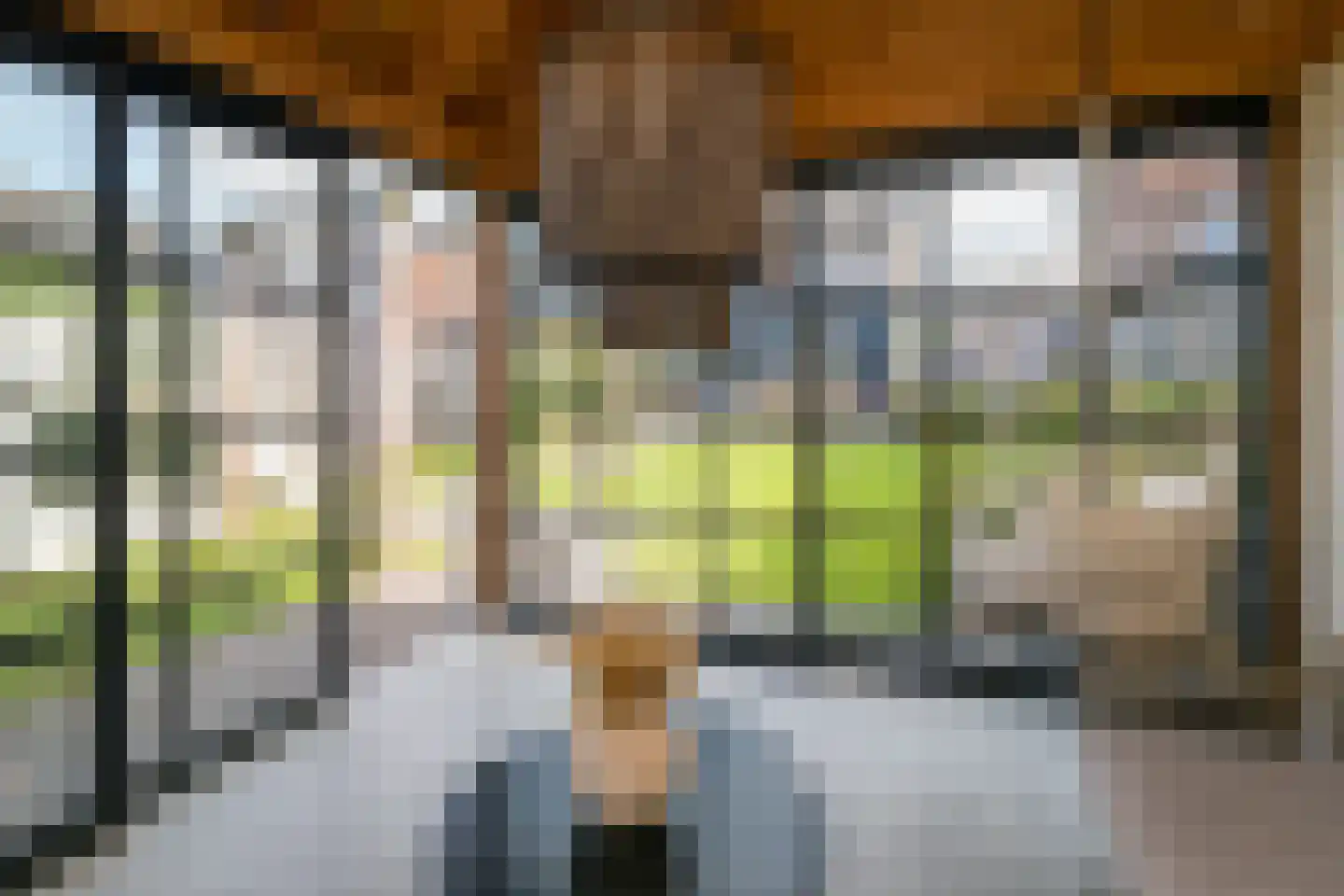 Dutry van Haeftenstraat 7 Haaften thumbnail 47