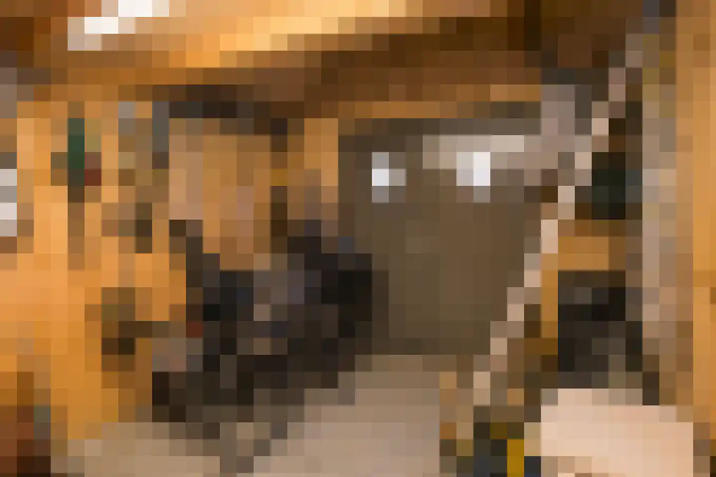 Dutry van Haeftenstraat 7 Haaften thumbnail 51