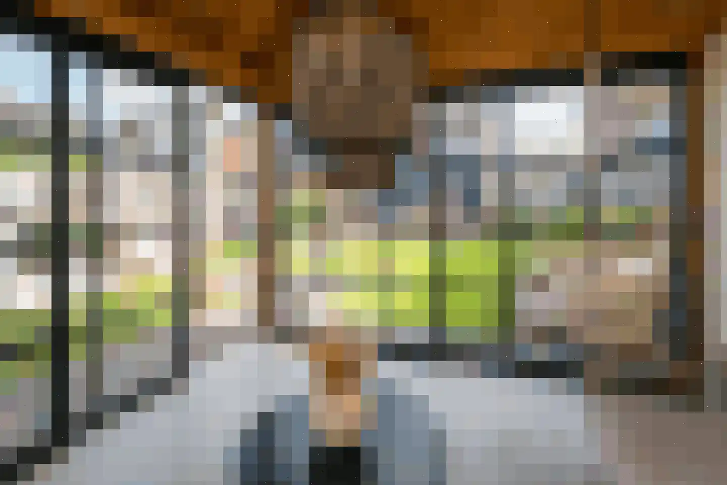 Dutry van Haeftenstraat 7 Haaften thumbnail 7