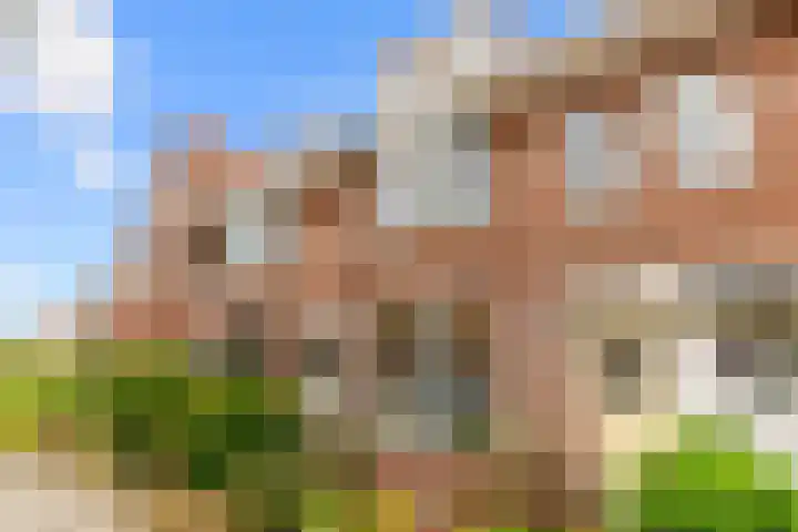 Dutrystraat 30 Haarlem thumbnail 4