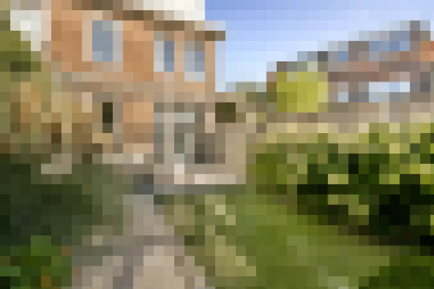 Dutrystraat 31 Haarlem thumbnail 11