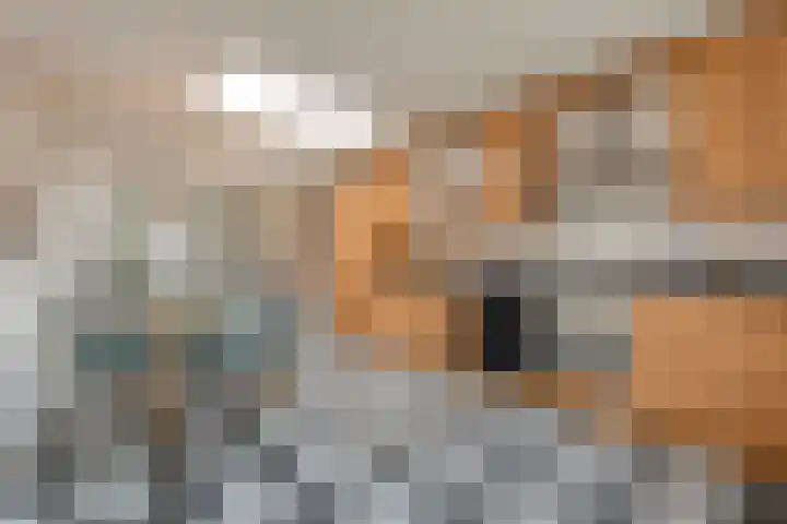 Düttingstraat 8 Denekamp thumbnail 13