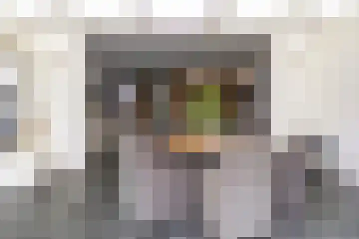 Duunmede 2 Middelburg thumbnail 14
