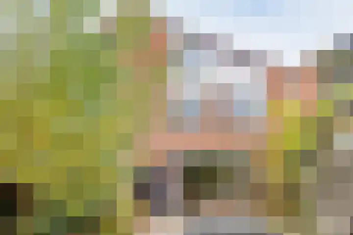 Duunmede 21 Middelburg thumbnail 28