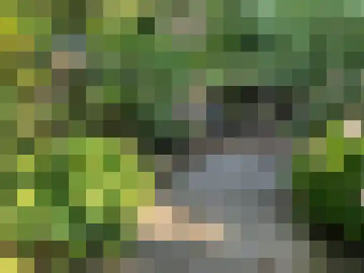 Duunmede 21 Middelburg thumbnail 31