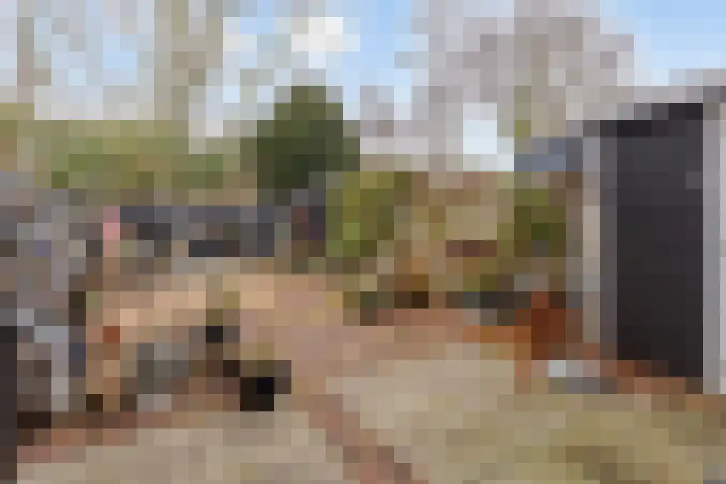 Duunmede 29 Middelburg thumbnail 25