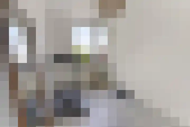 Duunmede 41 Middelburg thumbnail 18
