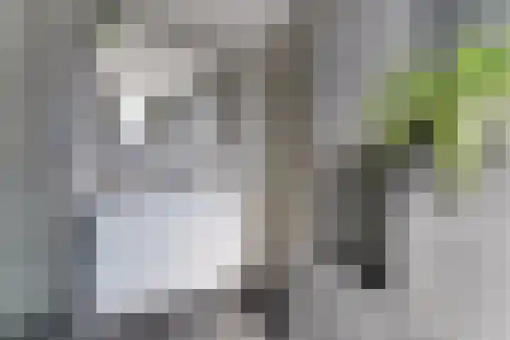Duunmede 41 Middelburg thumbnail 22