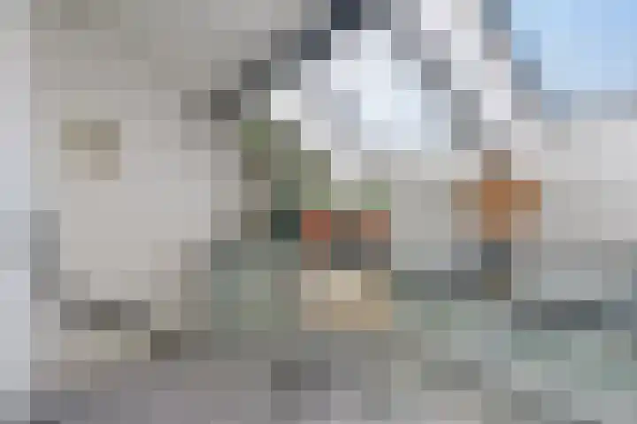 Duunmede 41 Middelburg thumbnail 26