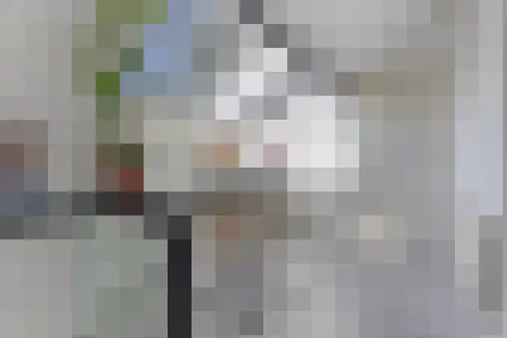 Duunmede 41 Middelburg thumbnail 27