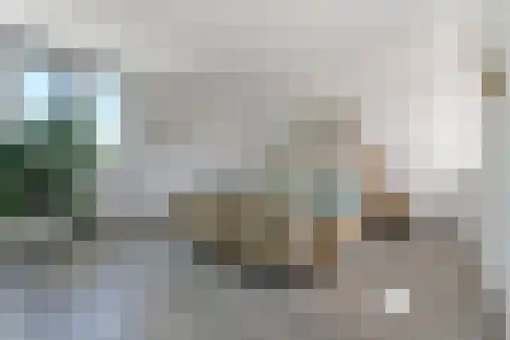 Duunmede 41 Middelburg thumbnail 28