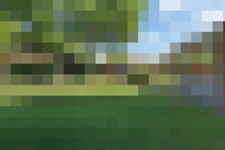 Duunmede 41 Middelburg thumbnail 31