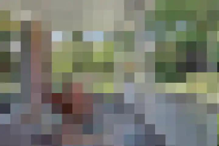 Duunmede 41 Middelburg thumbnail 32