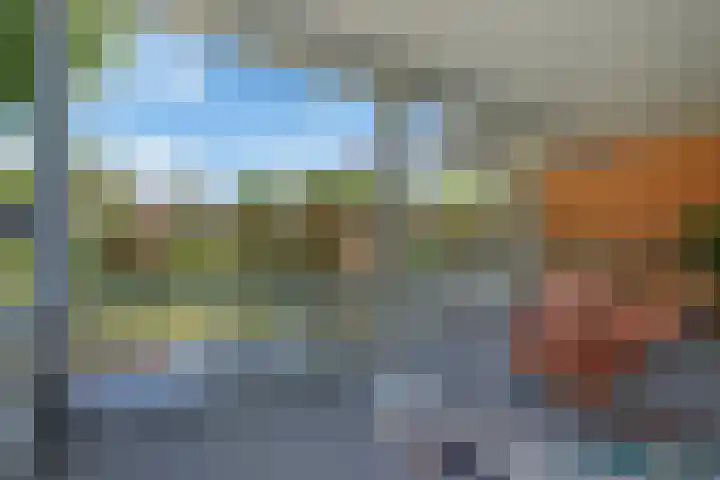 Duunmede 41 Middelburg thumbnail 33