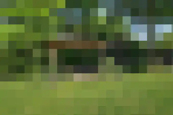 Duunmede 41 Middelburg thumbnail 34