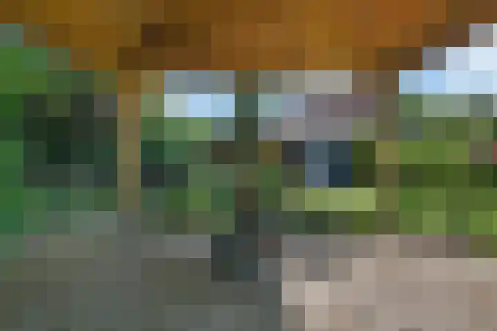 Duunmede 41 Middelburg thumbnail 35