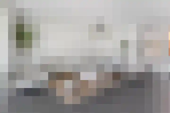 Duunmede 41 Middelburg thumbnail 4
