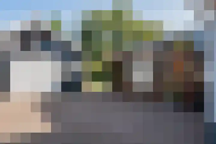 Duurkampenweg 18 Emmen thumbnail 10