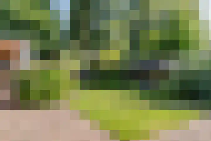 Duurkampenweg 18 Emmen thumbnail 48