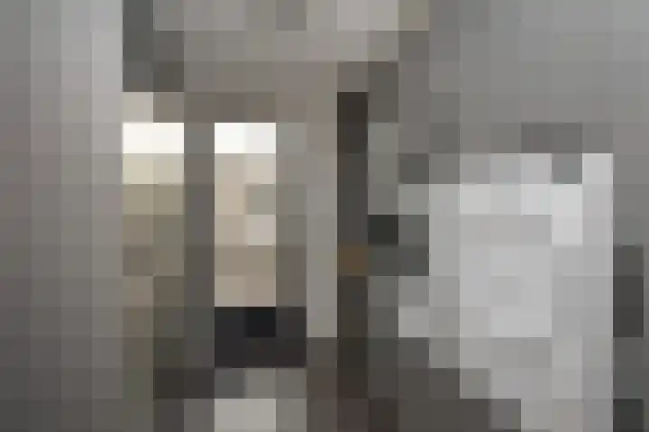 Duurschenlaan 11 Gieten thumbnail 28