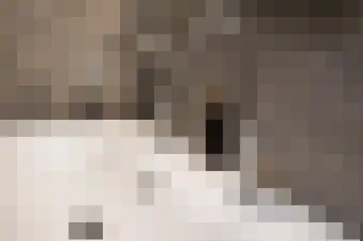 Duurschenlaan 11 Gieten thumbnail 40